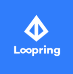 路印协议(Loopring)-区块资讯网